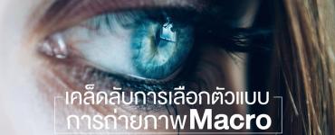 เคล็ดลับการเลือกตัวแบบในการถ่ายภาพ Macro