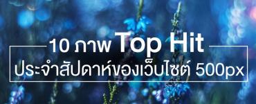 10 ภาพ Top Hit ประจำสัปดาห์ ของเว็บไซต์ 500px