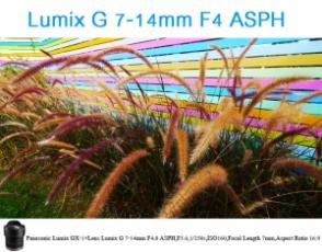 Lumix G 7-14mm F4 ASPH 